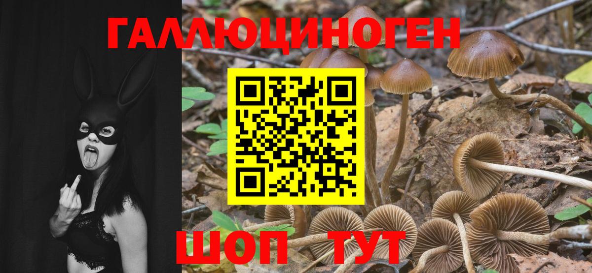 Галлюциногенные грибы прущие грибы Богородицк