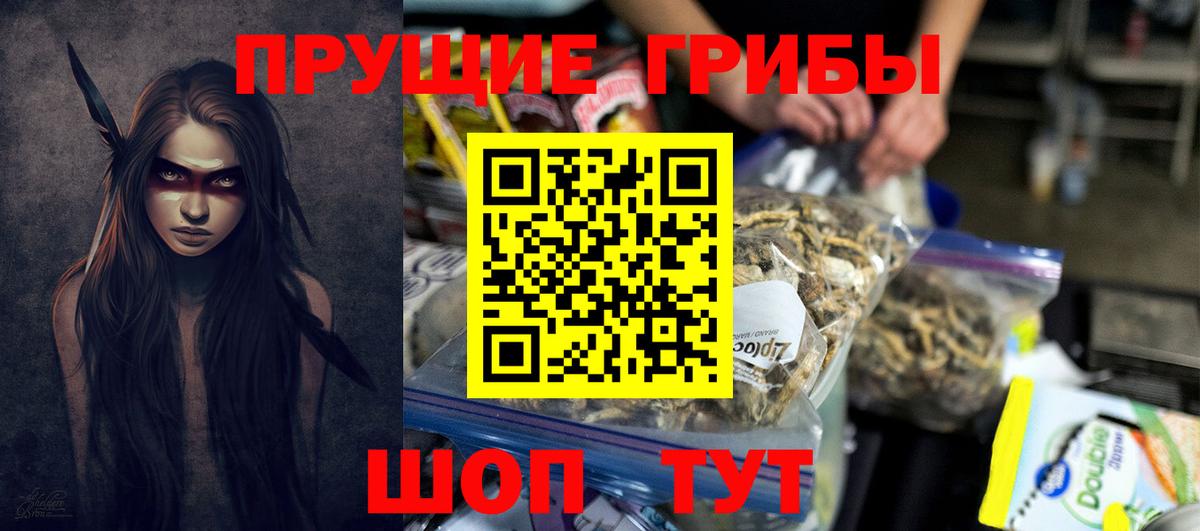 Галлюциногенные грибы Cubensis  Вход с VPN  Богородицк 